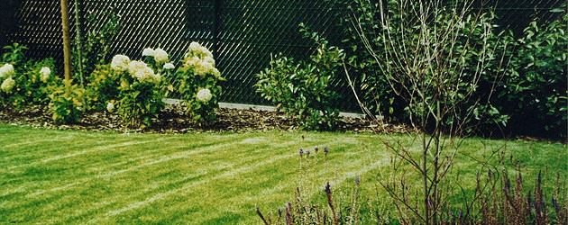Fence slats